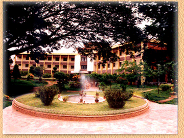 image4.gif